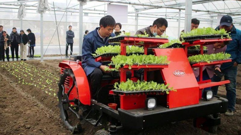 小型养殖场搅拌机选型要点：如何高效满足养殖需求**